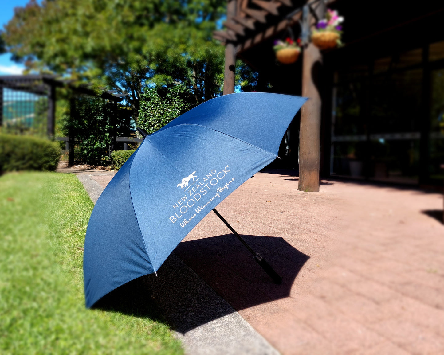 NZB Umbrella