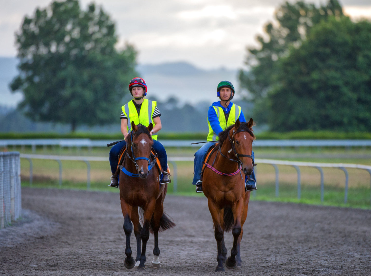 NZB Hi-Vis Vest