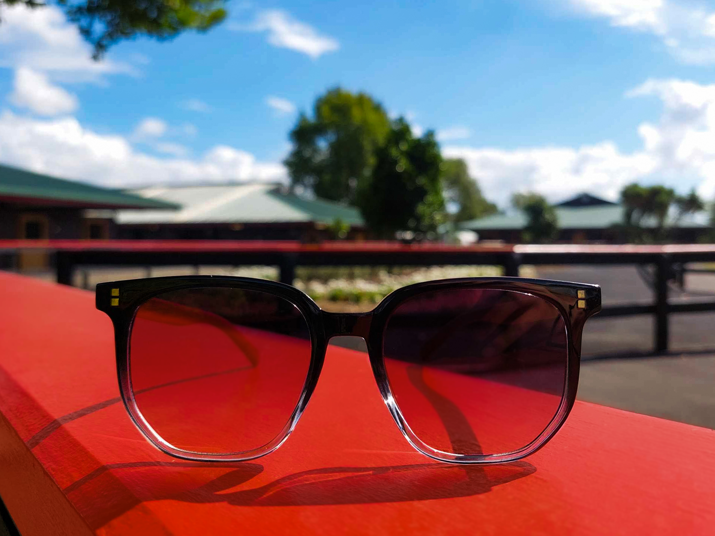 NZB Sunglasses