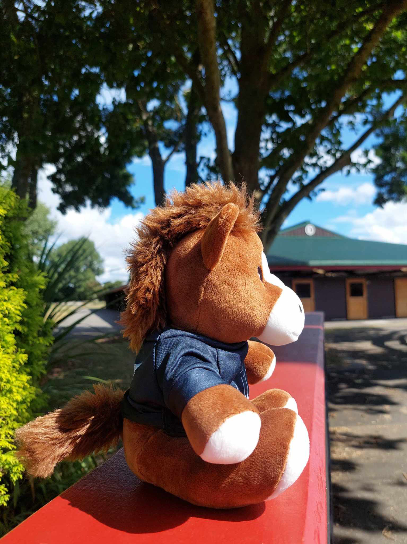 NZB Plush Horse