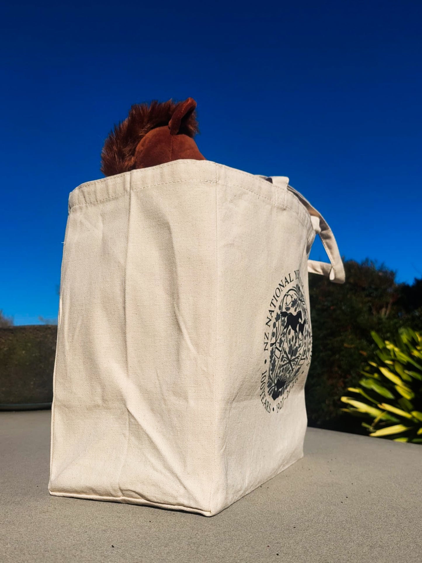 NZB 100 Years Tote Bag