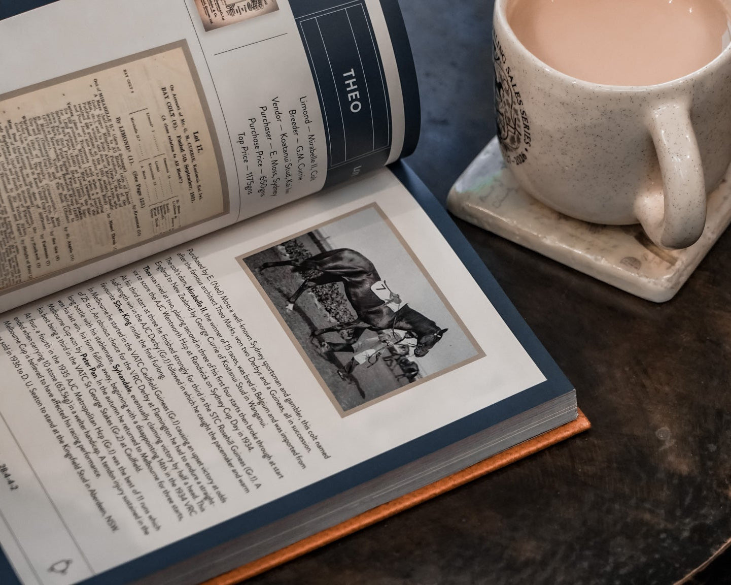 A Century of National Yearling Sales: Catalogue of Top Performers