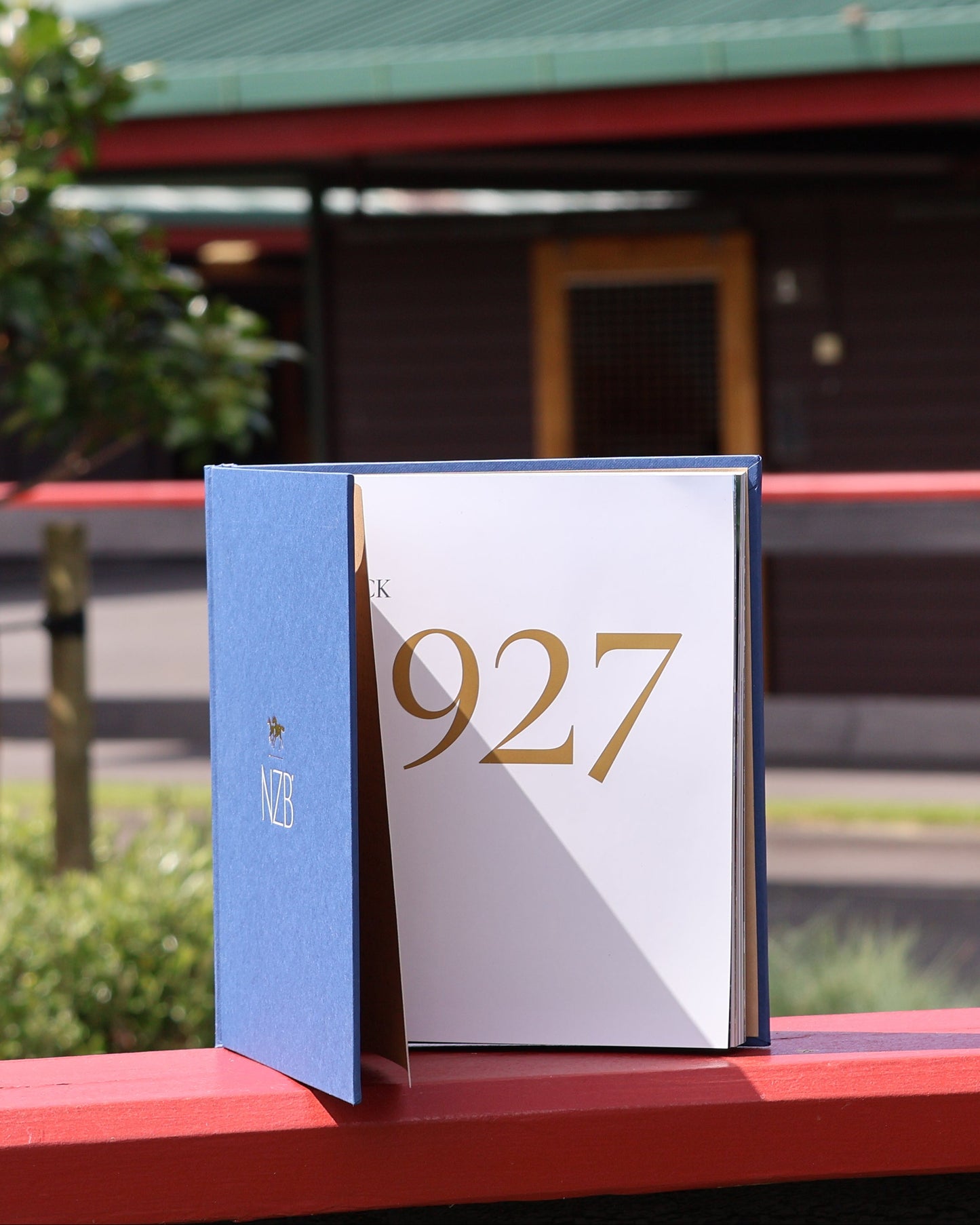 NZB Coffee Table Book