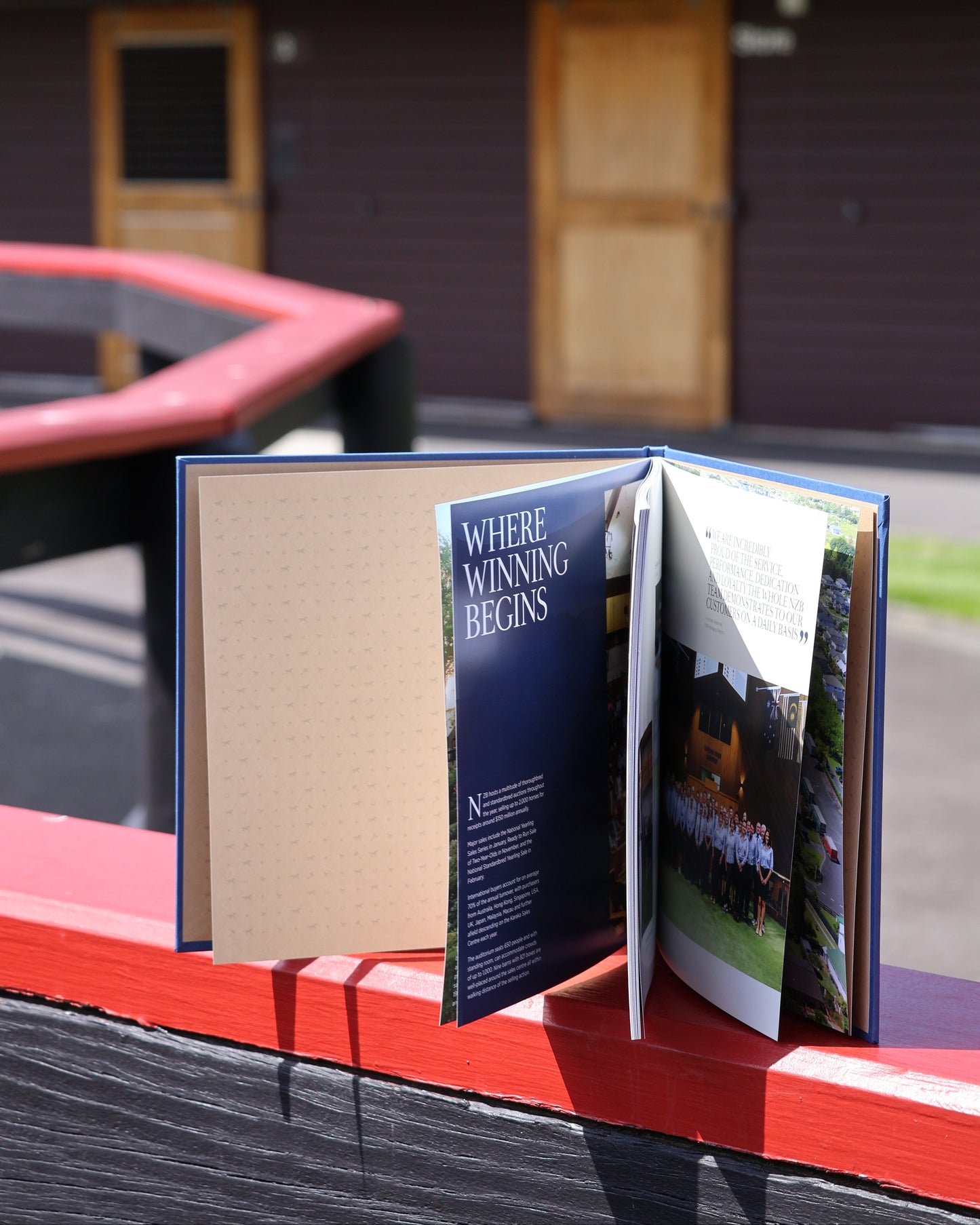 NZB Coffee Table Book