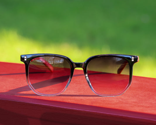 NZB Sunglasses