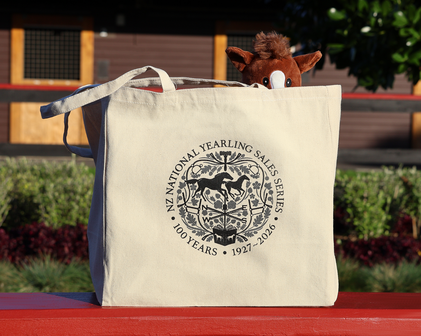 NZB 100 Years Tote Bag