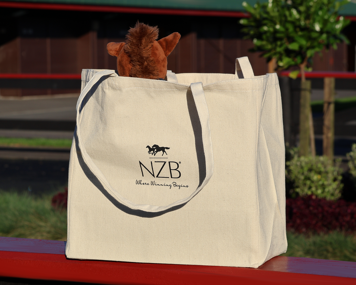 NZB 100 Years Tote Bag
